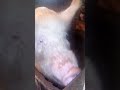 Убивают частное подворье