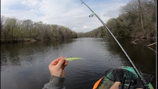Crush City Jerk is like candy to smallmouth!! #smallmouthbass #kayakfishing
