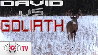 DAVID VS GOLIATH: Largest Wild Buck EVER Caught On Camera
