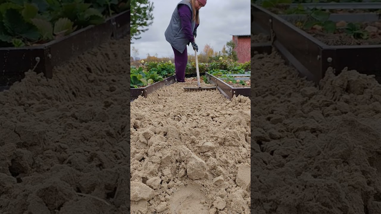 Работаю в объятьях осени! 27.09.2025