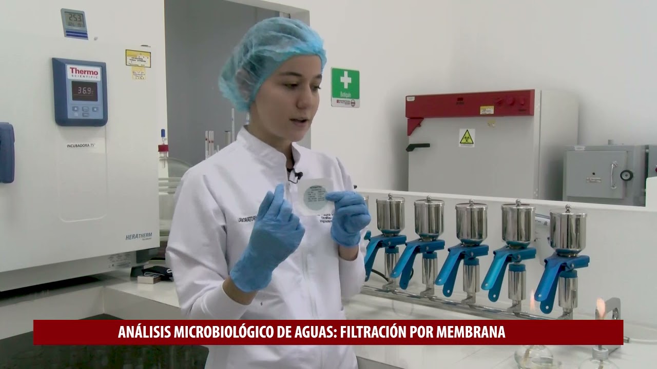 Practica de laboratorio - Análisis microbiológico de aguas potables parte 1
