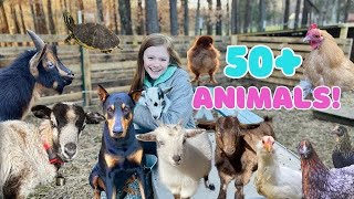 Meet my FARM ANIMALS!| FARM TOUR! by The Little Farm 112 views 2 months ago 1 minute, 56 seconds