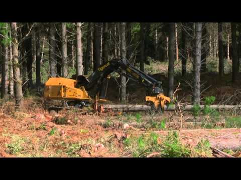 Tigercat L855C feller buncher with 5185 fixed felling saw
