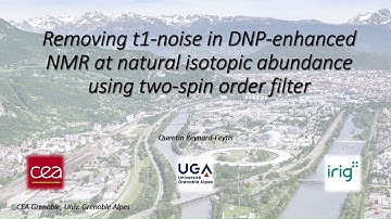 Removing t1-noise in DNP-enhanced NMR | Quentin Reynard-Feytis | Online Conference 2025