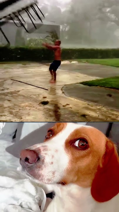 strongest-wind-ever-recorded-strongwind-funny-shortvideo-youtube