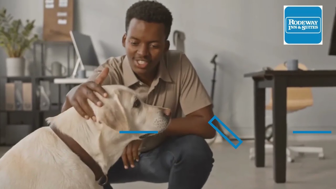 Budget Hotels near ILM Airport |Hotel in Wilmington North Carolina .