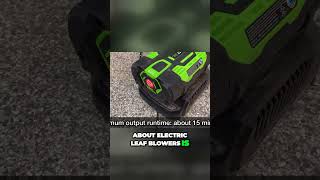 Unleash Maximum Power Mastering Electric Leaf Blowers for Efficient Outdoor Cleanup