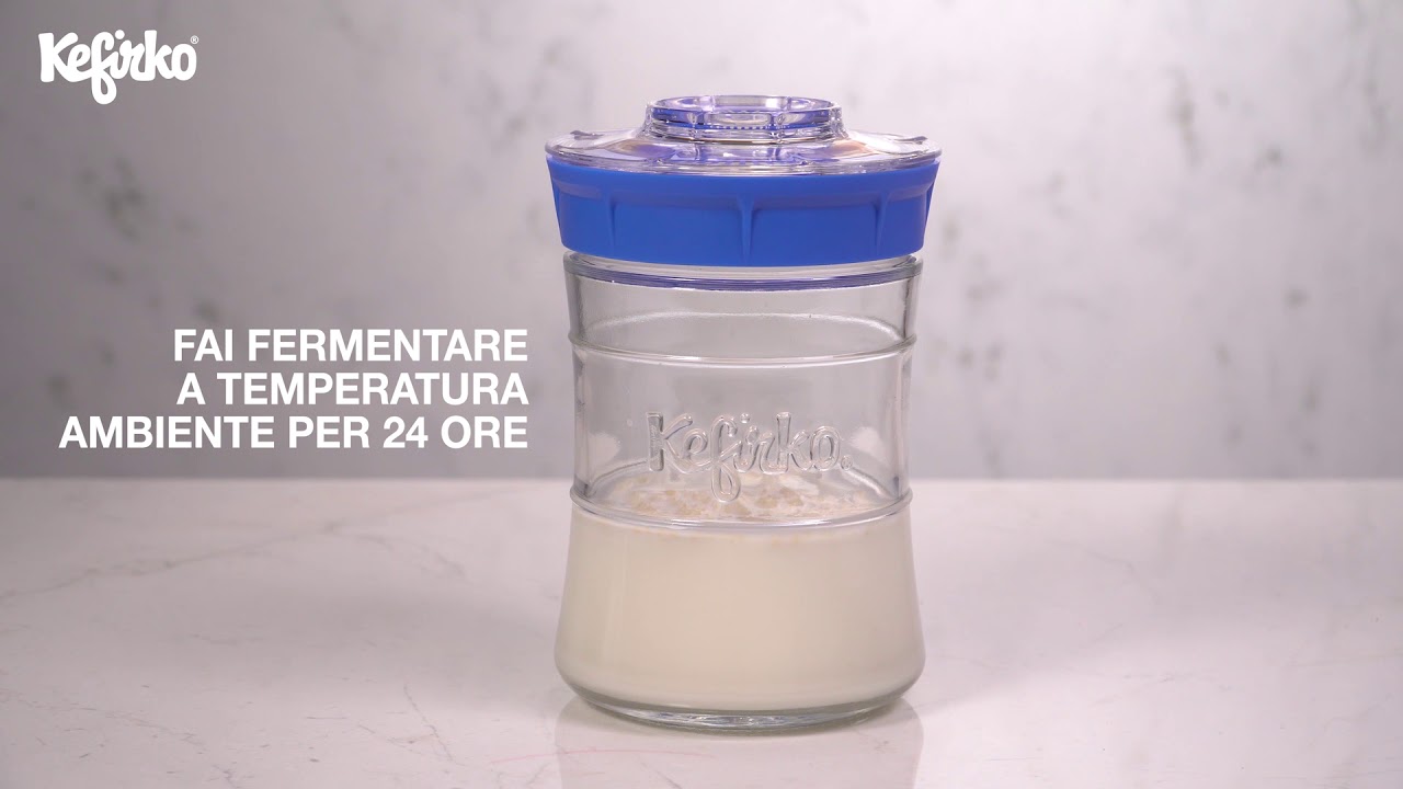 Attivare i granuli essiccati di latte di Kefirko con il Kefir Maker ...