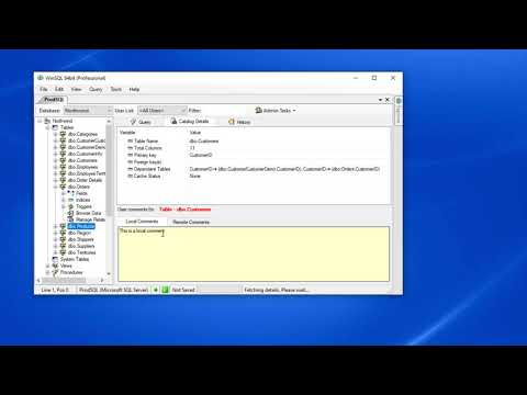 Associating User Comments with DB Objects in WinSQL