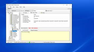Associating User Comments with DB Objects in WinSQL