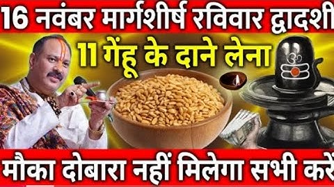 16 नवंबर मार्गशीर्ष रविवार द्वादशी तिथि को 11 गेंहू के दाने वाला उपाय जरुर करे || Pradeep Ji Mishra 