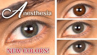 New Anesthesia Contact Lenses Addict Grigio, Addict Celeste, Addict Terra, Addict Nocciola