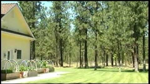 Creating defensible space around your home