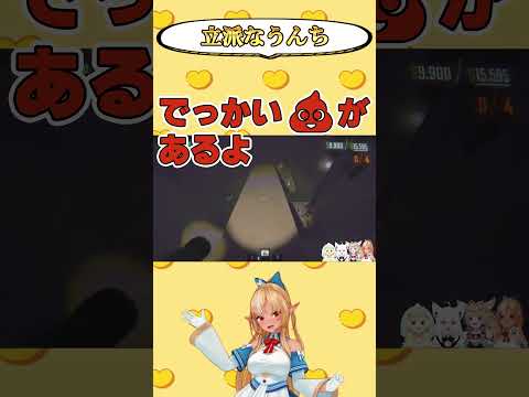 フレアちゃん「dekkai unchi aru」【不知火フレア/ホロライブ/ホロライブ切り抜き】