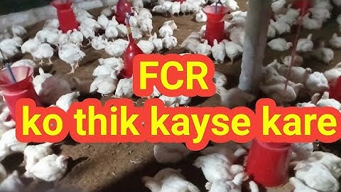 How to check broiler FCR,How to control