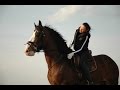 Shire Horse. Работа с лошадью частного владельца. Шайр Барни. Испанский шаг.