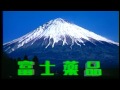 富士薬品『新富士胃腸薬』 CM 【吉沢京子】 2005