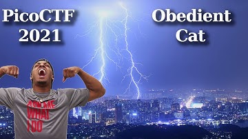 picoCTF 2021 Walkthru [1] - Obedient Cat