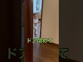 きーち『ドア閉めたろか？』#shorts #赤ちゃん #トイレ