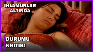 Filizin Durumu Kritik - Ihlamurlar Altında 77.Bölüm