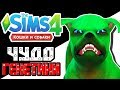 The Sims 4 Challenge | Чудо генетики | Щенок