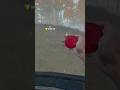 I Found The Heart Of Tabor From An AIRDROP!