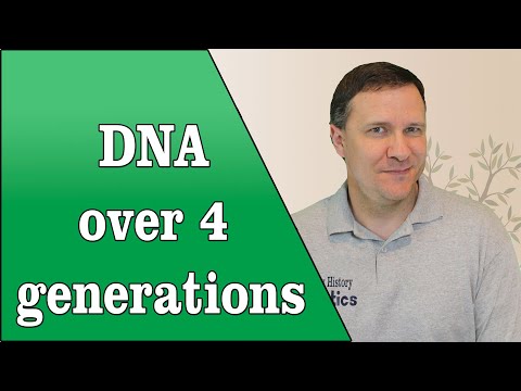Video: Hoe wordt DNA van generatie op generatie doorgegeven?