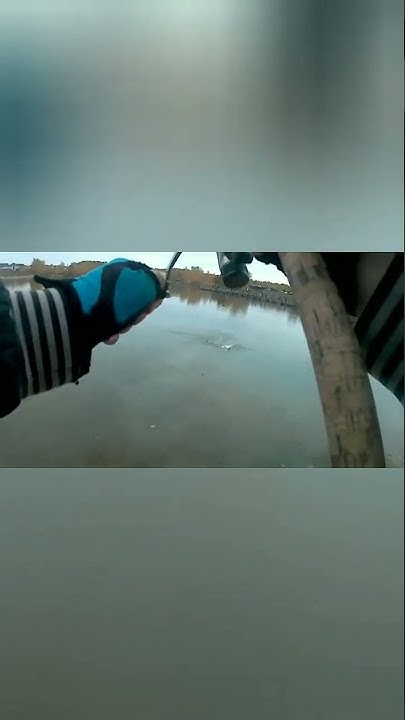 БОМБАРДА РУЛИТ ПОПАЛАСЬ КРАСОТКА НА БЕЛЫЙ МАГОТ - YouTube