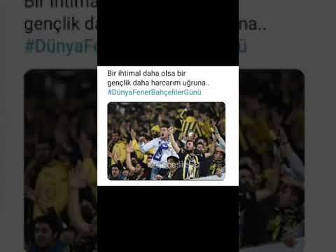 Dünya Fenerbahçeliler Günü Kutlu Olsun 💛💙🚀