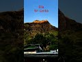 Чайные плантации. Шри Ланка 2022. Природа Элла. #Shorts