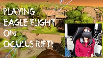 Oculus Rift: Playing Eagle Flight