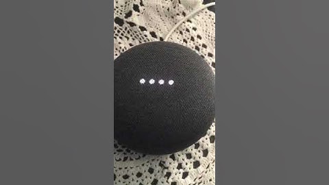 Google Home Assistant Mini Screams And Disappears