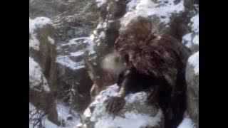 Panna a netvor - in the castle garden - music by Petr Hapka