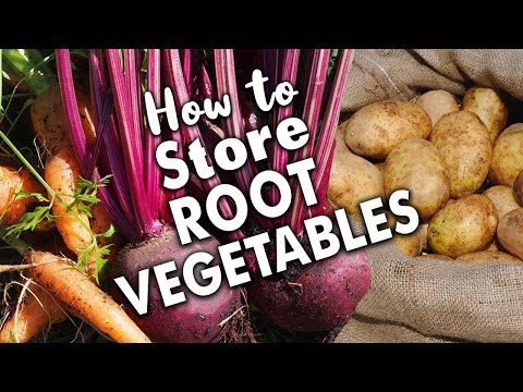 Video: Root crop - what is it? Storage of root crops