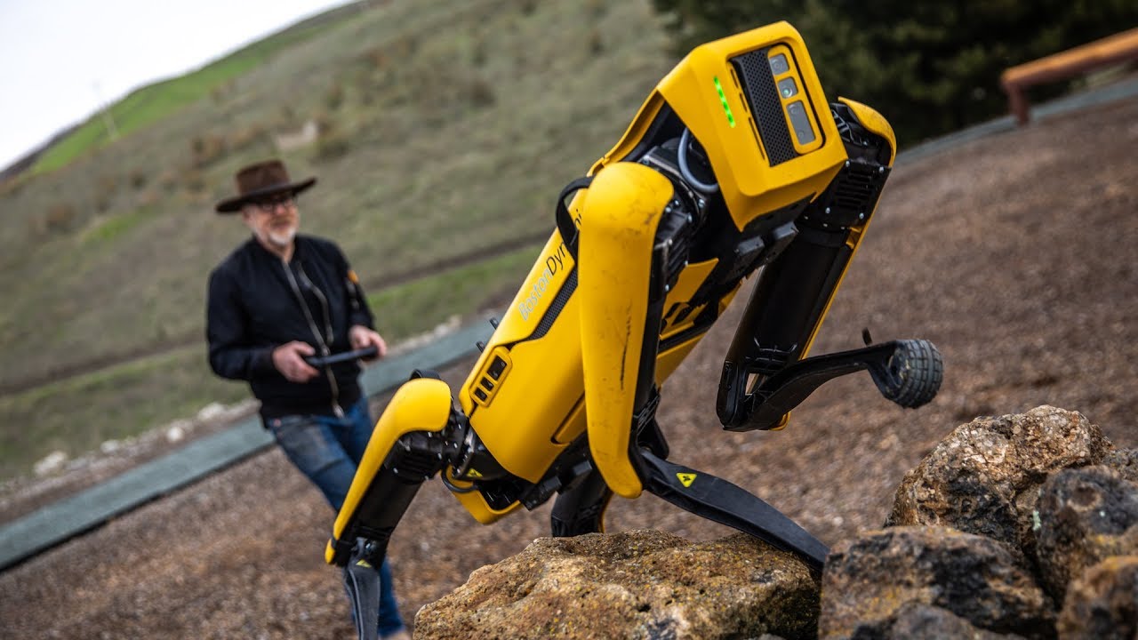 robot boston dynamics dog