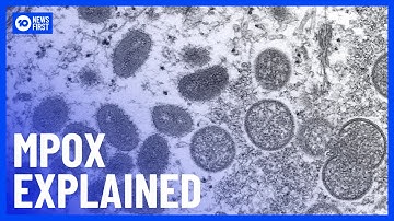 What You Need To Know About Mpox As WHO Declares Global Health Emergency | 10 News First