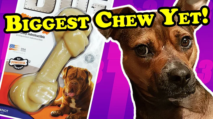 Discover the Powerhouse Chew Toy for Aggressive Chewers - Nylabone BIG DuraChew