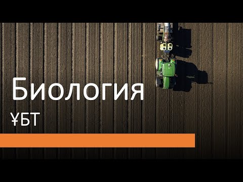 Бейне: Неліктен қыналар симбионттар болып саналады?