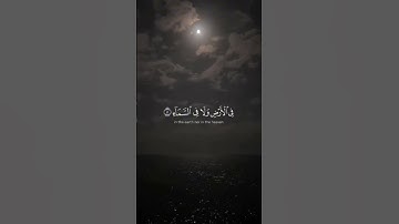 تلاوه هادئه للقارئ الشيخ عبد الرحمن مسعد اكتب شيء تؤجر عليه ♥🤍