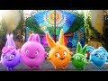 Sunny Bunnies | The Stained Glass Window | COMPILATION | Videos For Kids | WildBrain