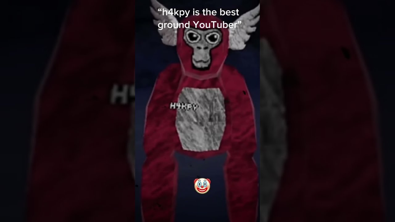  H4kpy Is The Best Ground YouTuber Gaming Gorillatag Plebgt