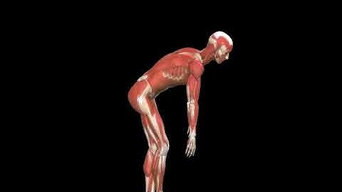 Hamstring Stretch- Standing Cross Legged