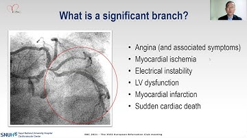 How to decide when the side branch is significant - BK KOO