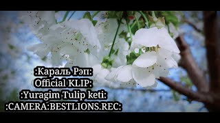 Карол Рэп New!{2021} Yuragim Tulip keti Official Klip CAMERA:UHD
