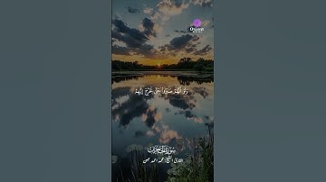 تلاوة خاشعة بصوت الشيخ محمد أحمد حسن تملأ القلب نورا