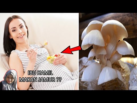 Video: Apakah Mungkin Makan Jamur Selama Kehamilan?