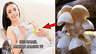 BOLEHKAH IBU HAMIL MAKAN JAMUR ⁉️ Begini Penjelasannya‼️