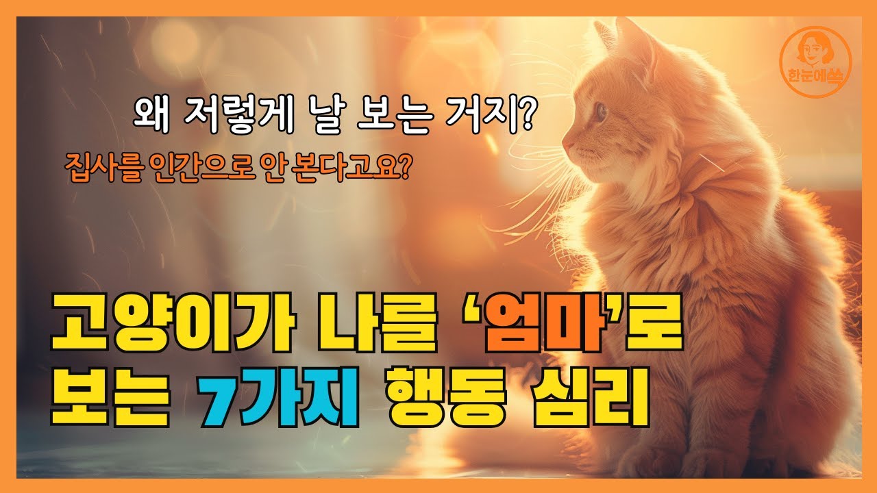 고양이가 나를 ‘엄마’로 볼때 보이는 7가지 행동｜절대 오해하면 안 되는 고양이 심리