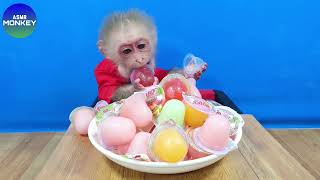 Baby Monkey Bin Bin Eats Colorful Jelly