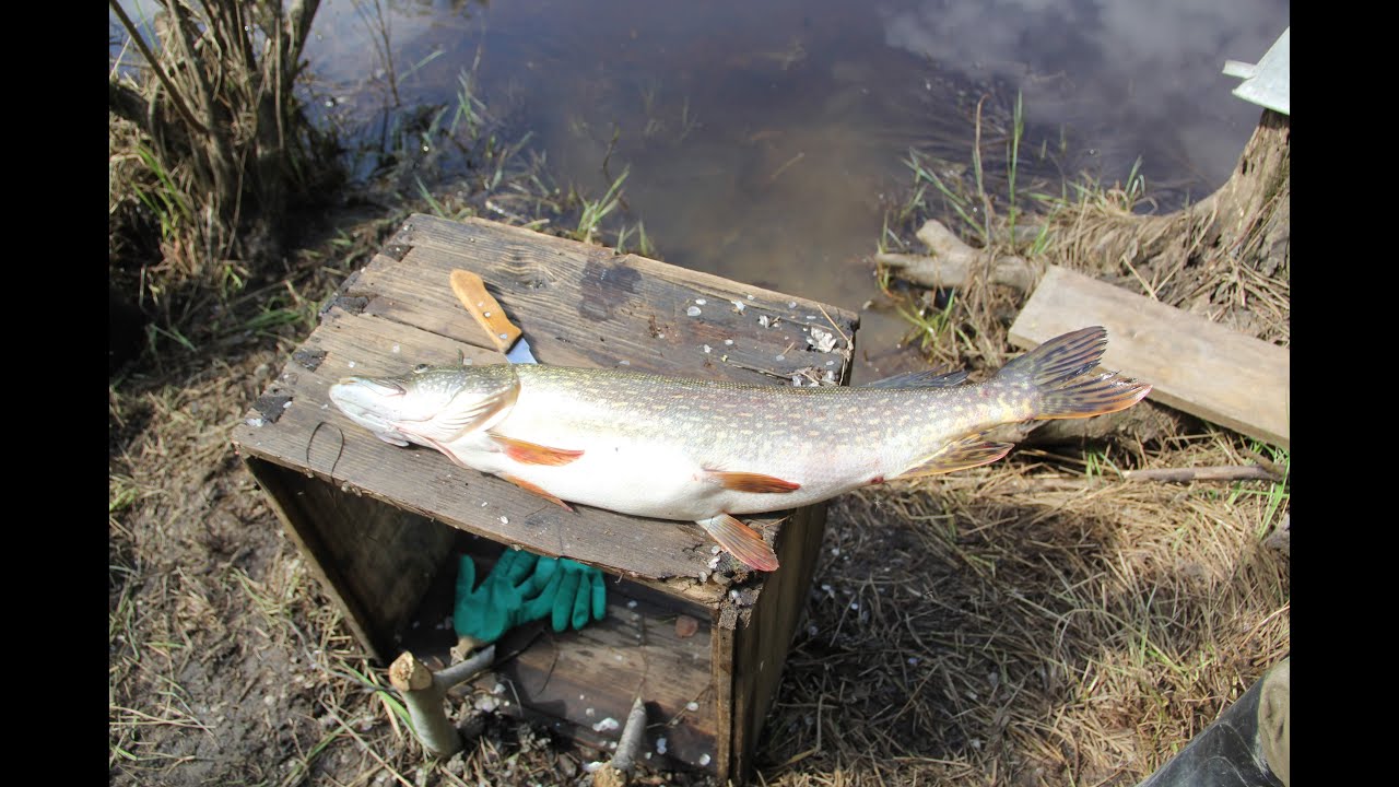 Рыбалка в Сибири на реке Кеть